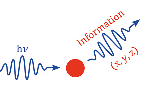 Graphical abstract