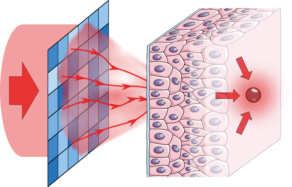 Graphical abstract