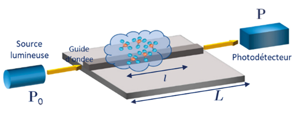 Graphical abstract