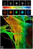 Des images nanométriques en 3D de molécules dans des tissus biologiques Des images nanométriques en 3D de molécules dans des tissus biologiques