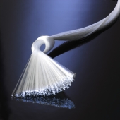 Fibre optique