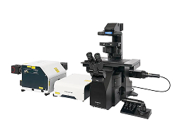 Microscopes confocaux à disque rotatif
